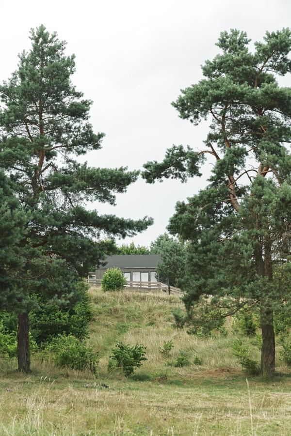 Domki W Lesie Gdansk 35 Km Bozepole Krolewskie Exterior photo